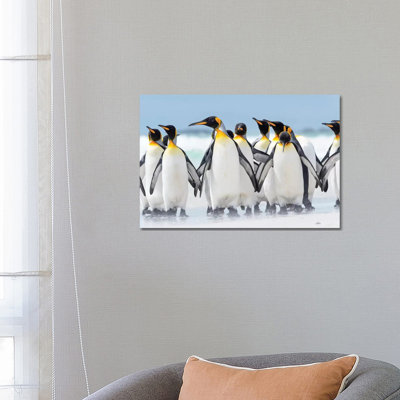 King Penguin, Falkland Islands. by Martin Zwick - Wrapped Canvas Print