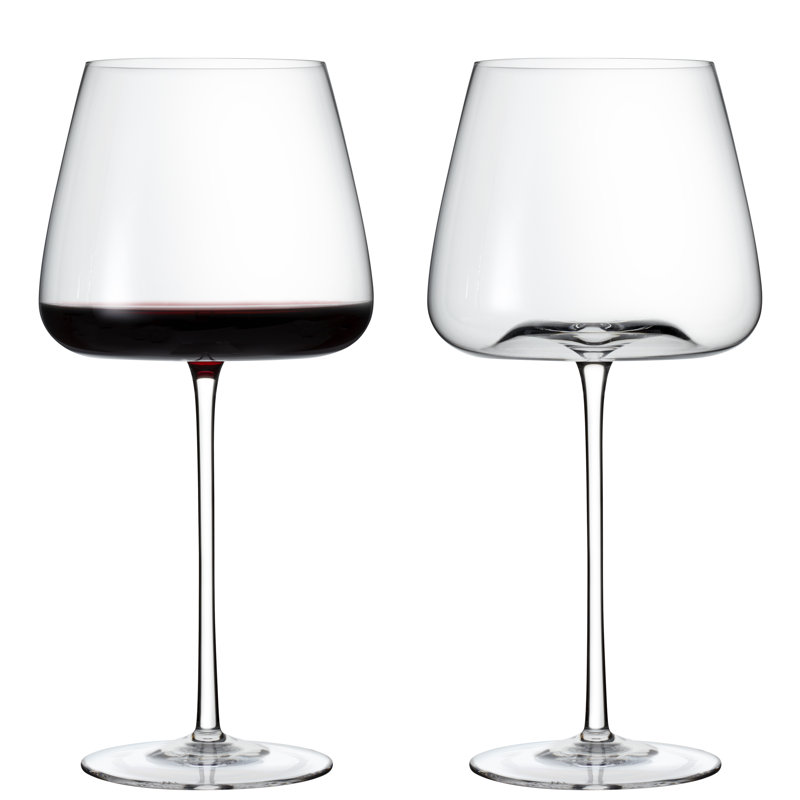 Verre à vin «Wine Enthusiast» soufflé à la main Pinot Noir