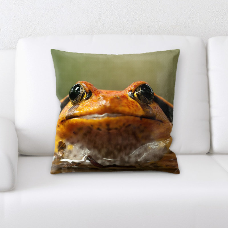 Coussin de grenouille