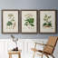 Antique Turpin Botanical I - ensemble de 3 peintures sur toile encadrées-1376143608-1376143611