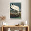 Wood Ibis-106964009