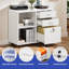 Buffet Jouvence-1908166979