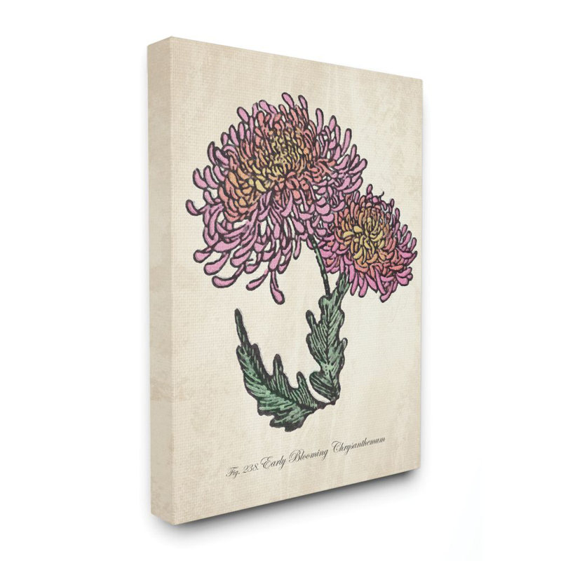 «Botanical Chrysanthemum Flower Pink Yellow», impression, Toile tendue, H 30 po x l 40 po x P 1,5 po
