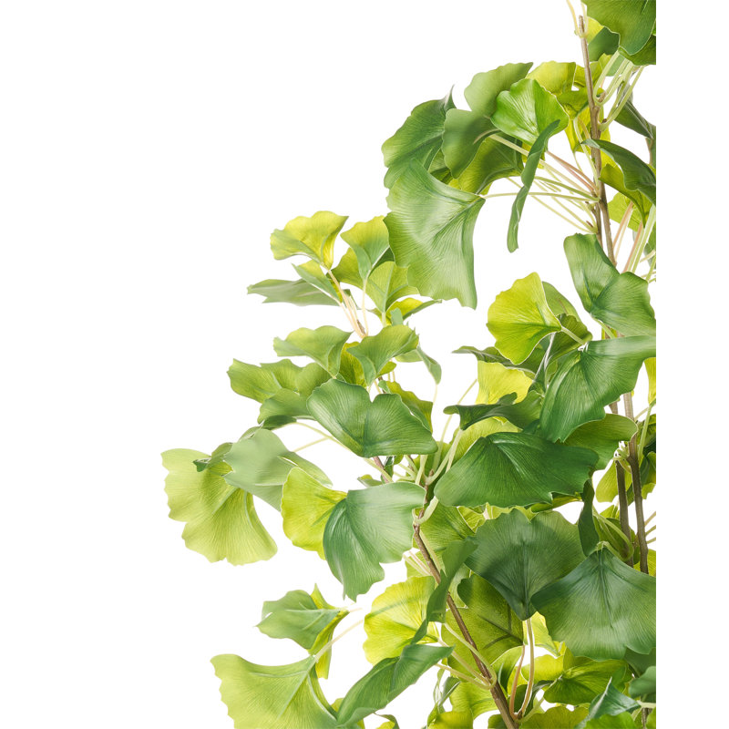 150cm Faux Ginko Tree in Pot