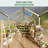 Polycarbonate Greenhouse, Winter Greenhouses For Outdoors,Outdoor Greenhouse With Roof Air Vent, Heavy Duty Walk-In Aluminum Green House For Outside Garden Backyard-120880100-120880098