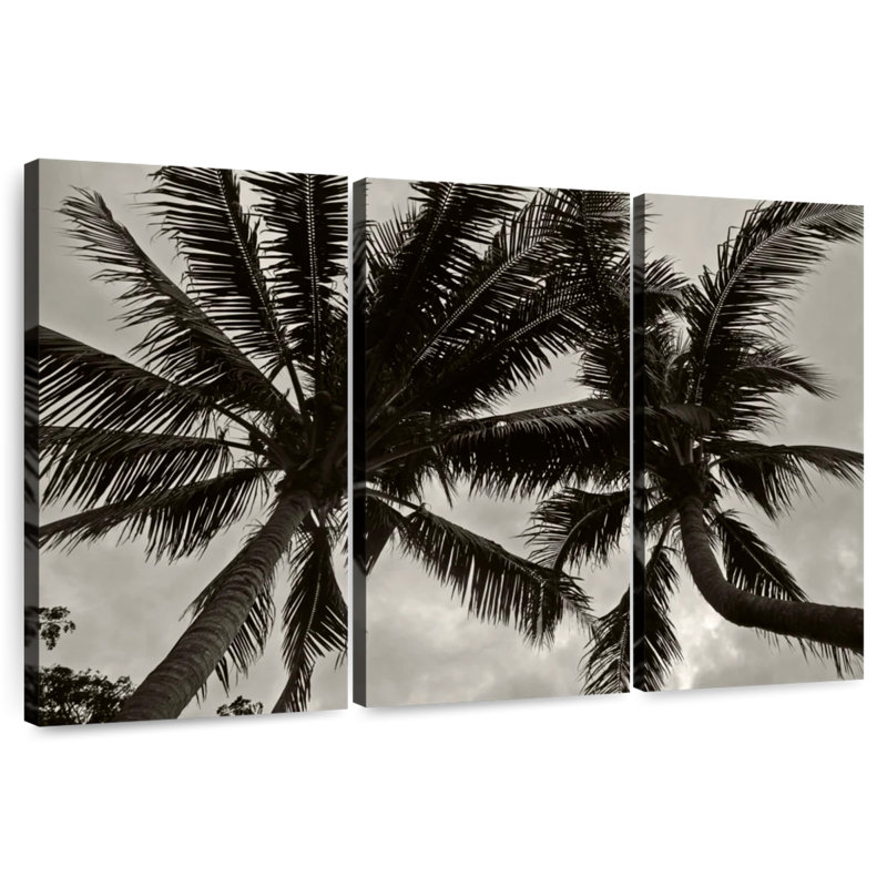 Harnek Palms At Night V, H 48 po x l 74 po