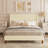 Full Bed Frame, Boucle Upholstered Platform Bed with Wingback Headboard, Strong Wooden Slats Support, Noise-Free Mattress Foundation, No Box Spring Needed, Easy Assembly, White-128203734-128203733