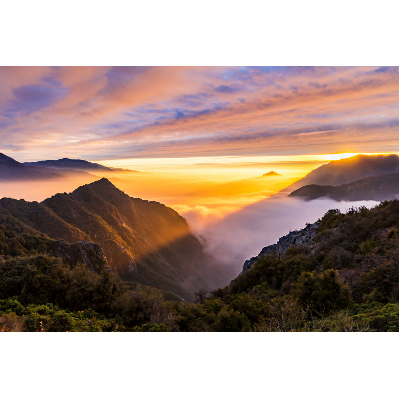 Achol Sunset At Sequoia par - Photographie de toile tendue, H 32 po x l 48 po