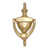 Lifetime Polished Brass