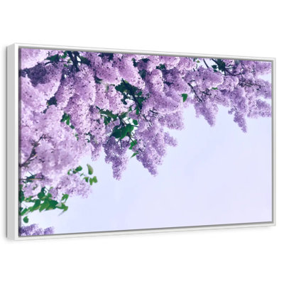 Delicate Purple Lilacs