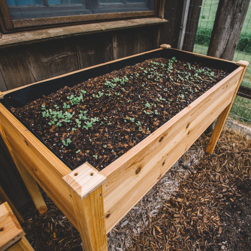  Lit de jardin surélevé 48 "x 24" avec pieds, jardinière en bois