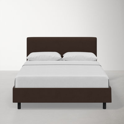 Eisley Cotton Upholstered Bed