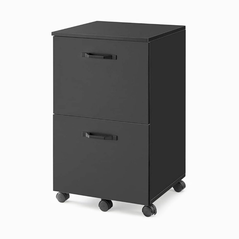 Matte Black Mobile 2-Drawer Lockable File Cabinet