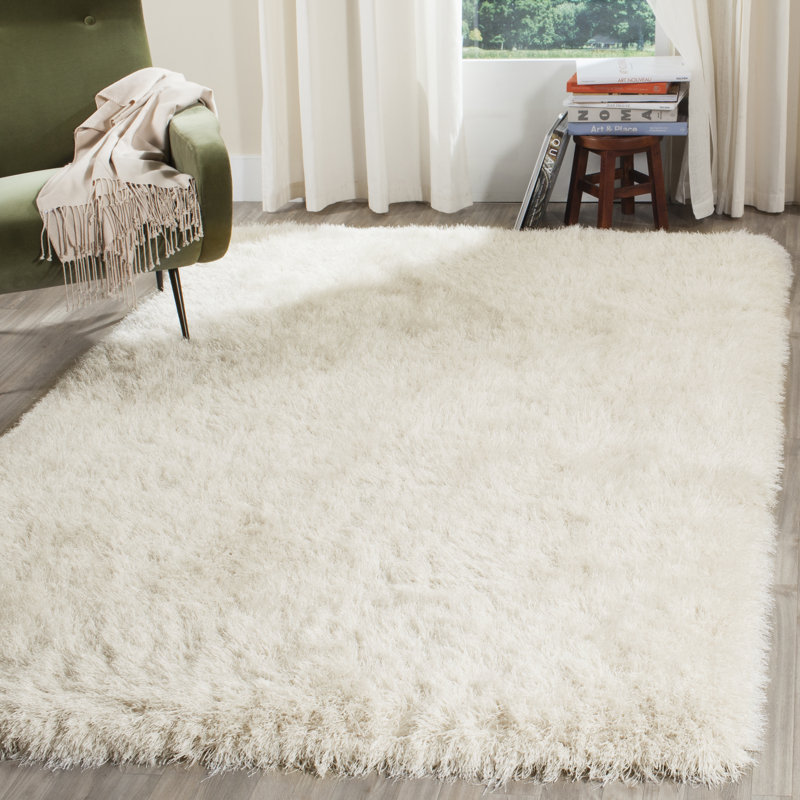 Tapis à poils longs performance touffeté à la main Etelvina, Rectangle 5 pi x 8 pi