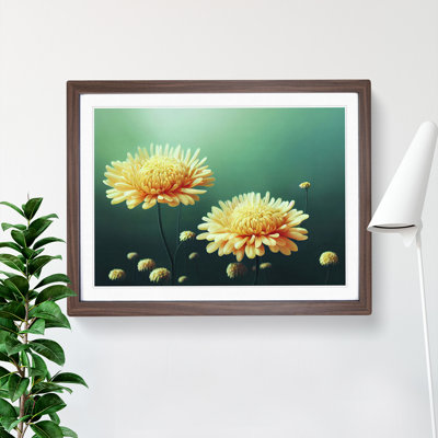 Intriguing Chrysanthemum Flowers - Framed Print