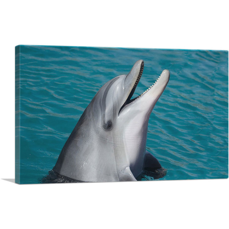 Dolphin Home Decor - Reproduction de photo sur toile tendue, H 12 po x l 18 po x P 0,75 po