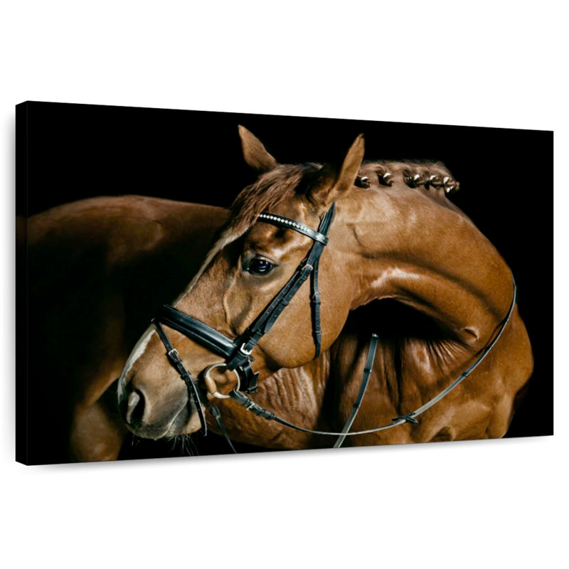 Cheval de dressage Brampt, H 30 po x l 45 po