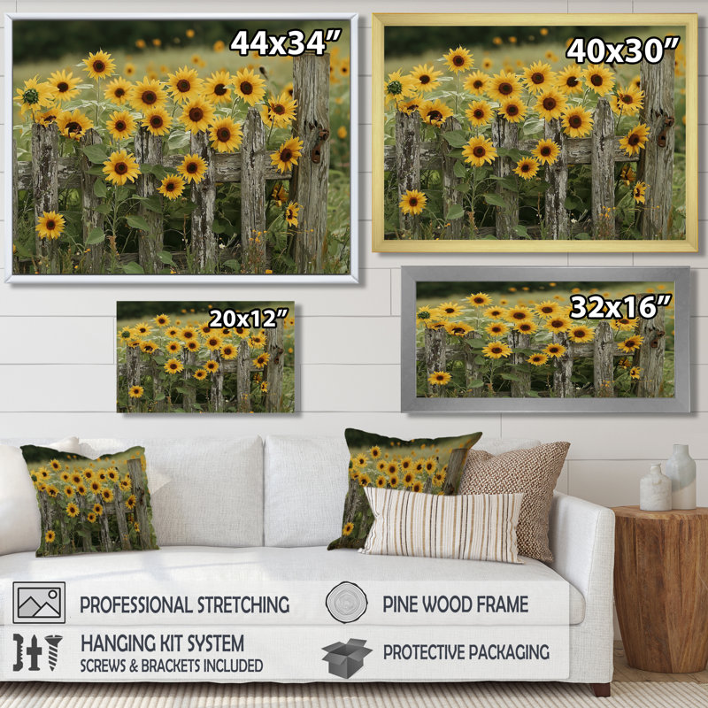 «Draxler Sunflowers And The Farm Fence II - Sunflowers», art mural sur toile, H 30 po x l 40 po, Ne pas appliquer