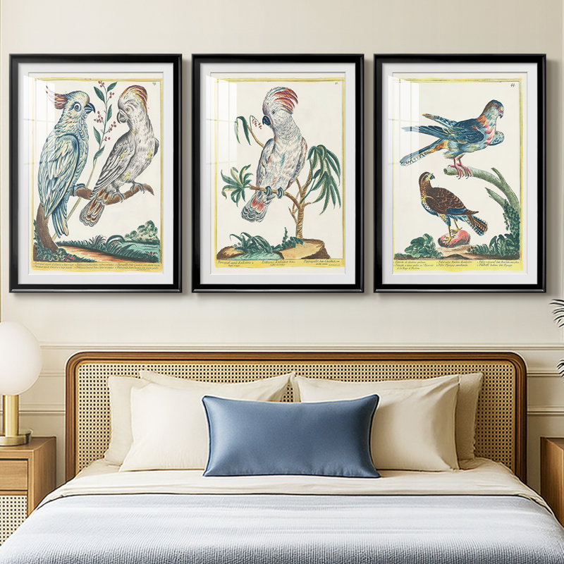 Oiseaux pastel I - impression encadrée de qualité supérieure sur mesure mat - 3 pièces, H 19 po x l 27 po, Noir