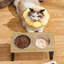 Elevated Feeder