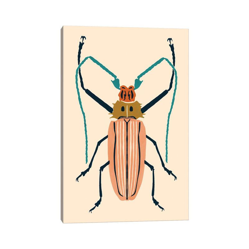 Beetle Bug IV by Victoria Barnes - Wrapped Canvas Print, 20.32 cm H x 30.48 cm W