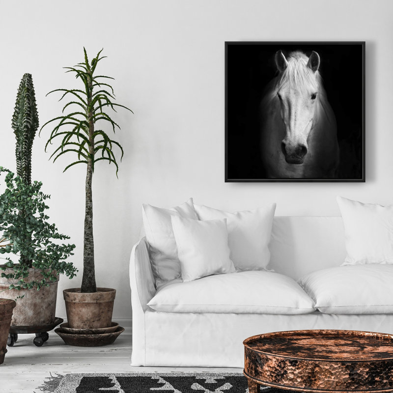 " Monochrome Horse "