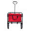 Chariot de plage pliable-113447391