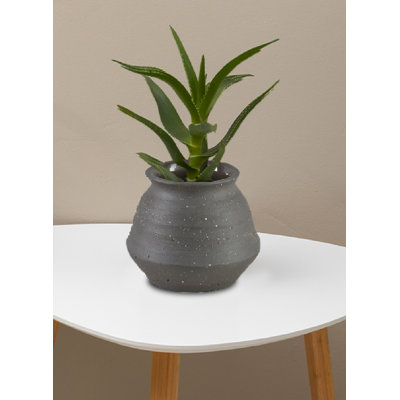 Ivory Ceramic Pot Vase - Elegant Finish, Timeless Flared Design, Perfect For Floral Arrangements, Modern Home Décor & Gift Ideas, 6.5" Diameter & 5.5" Tall, Pack Of 12