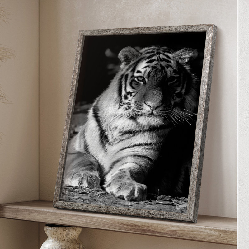 Tiger Repose Framed Print - Solid Wood, 11" H x 9" W