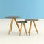 Duke Trestle Nesting Tables-17953250