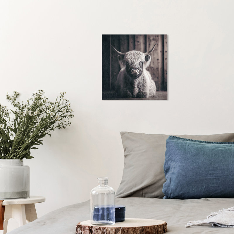 «Kathern Baby Highland Cow» par Wynwood Studio, H 12 po x l 12 po x P 0,8 po