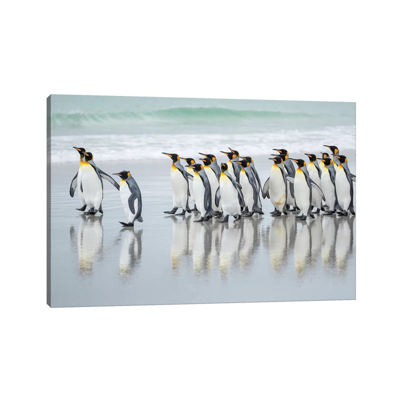 King Penguin On Falkland Islands. by Martin Zwick - Wrapped Canvas Print, 101.6 cm H x 66.04 cm W x 3.175 cm D