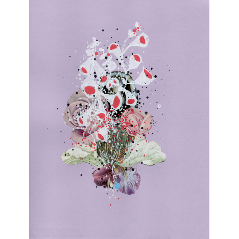 Sea Lace Print by Jenny Brown, 31.25" H x 25.25" W