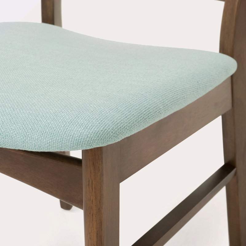 Chaise de salle à manger (ensemble de 2), Brun, Menthe