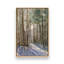 «Light Through the Trees» par Stephen Calcasola, reproduction d'art-249418776-249418782