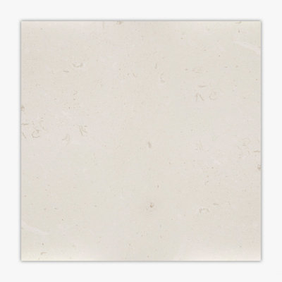 Symra Shell Honed 24x24 Limestone Tile