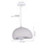 Unusual Pendant Light 1-Light Colbee
