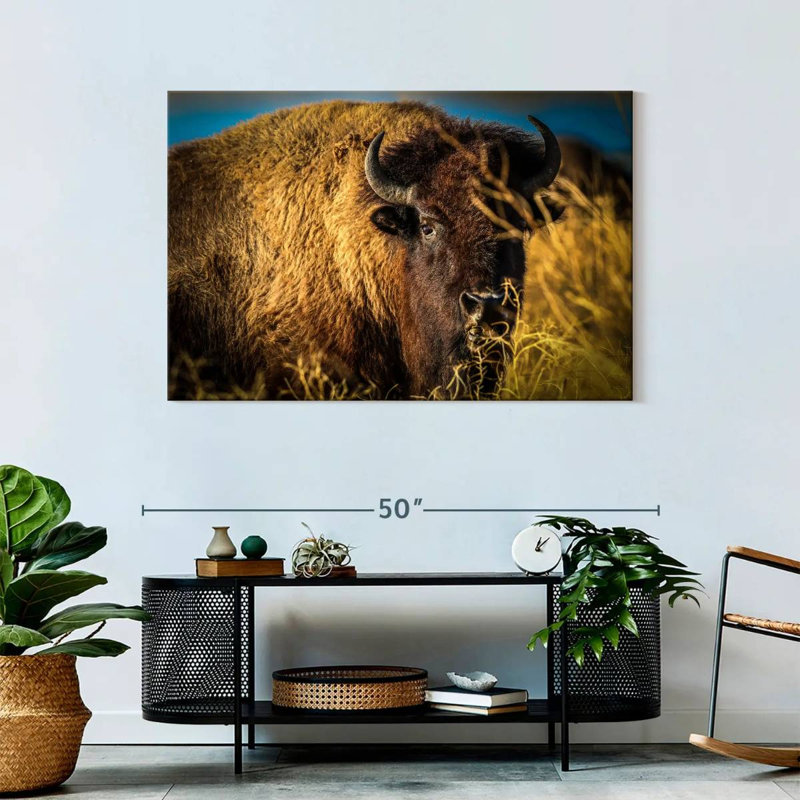Brampt Grazing American Buffalo, 30" H x 45" W