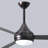 Donaire 52'' Ceiling Fan with LED Lights-297934727-315693481