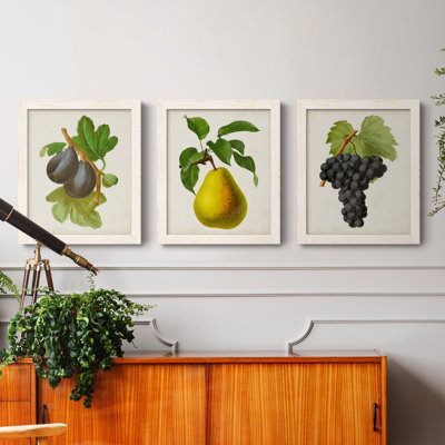 Antique Fruit VI - ensemble de 3 reproductions d'art sur toile