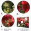 «Red Green Green Geraniums Flower Euphony I - Geraniums», ensemble de reproductions d'art mural en métal