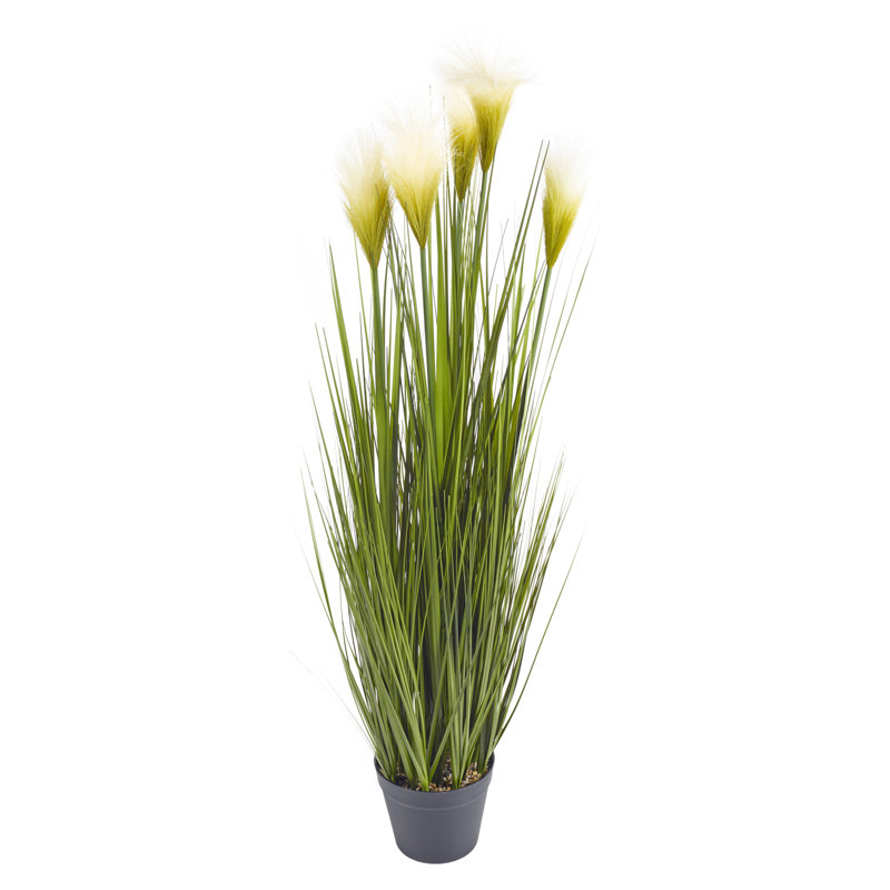 Plant in Pot, 104cm