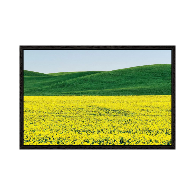 Canola Field In Spring by Terry Eggers - Gallery-Wrapped Canvas Giclée on Canvas, Black Framed, 66.04 cm H x 45.72 cm W