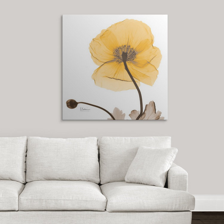 "Manigault" Islande Poppy Harvest X-Ray par Kiranjit, reproduction de photo, H 35 po x l 35 po x P 1,5 po, Toile