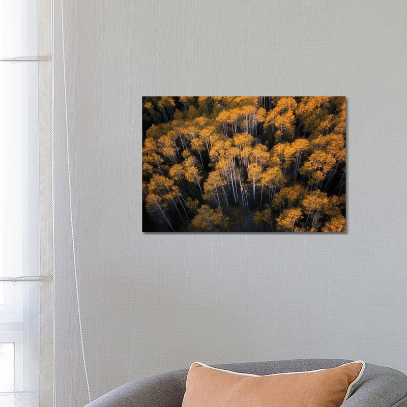 Aspen In Autumn By Mei Xu - Wrapped Canvas Graphic Art by Mei Xu - Wrapped Canvas Print