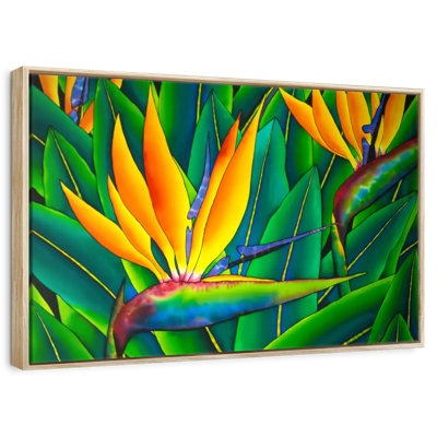Lush Bird Of Paradise