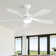 Whisper 52" 5 ABS Blade Propeller Classic Ceiling Fan with LED Lights and Remote Control
