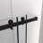 Frameless Shower Door