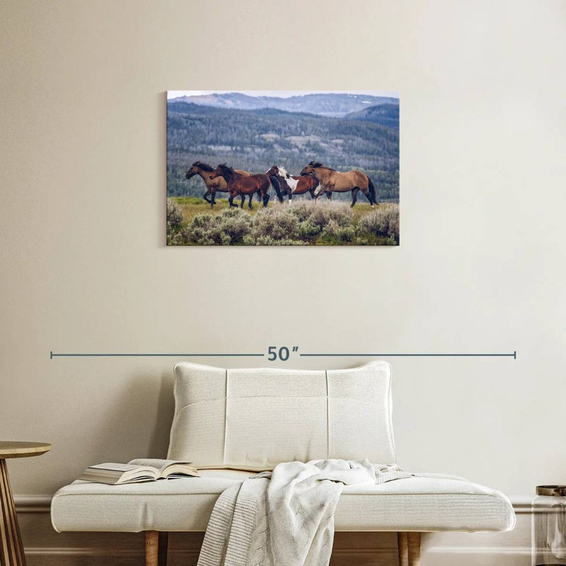 Brampt Mountain Horses, H 20 po x l 30 po