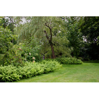 Willow Park - Photographie sur toile tendue